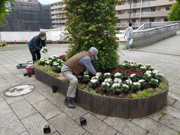 花と緑のまちづくり 開始から7周年 夏花壇テーマは コロナに負けるな 日本 中川駅前商業地区振興会
