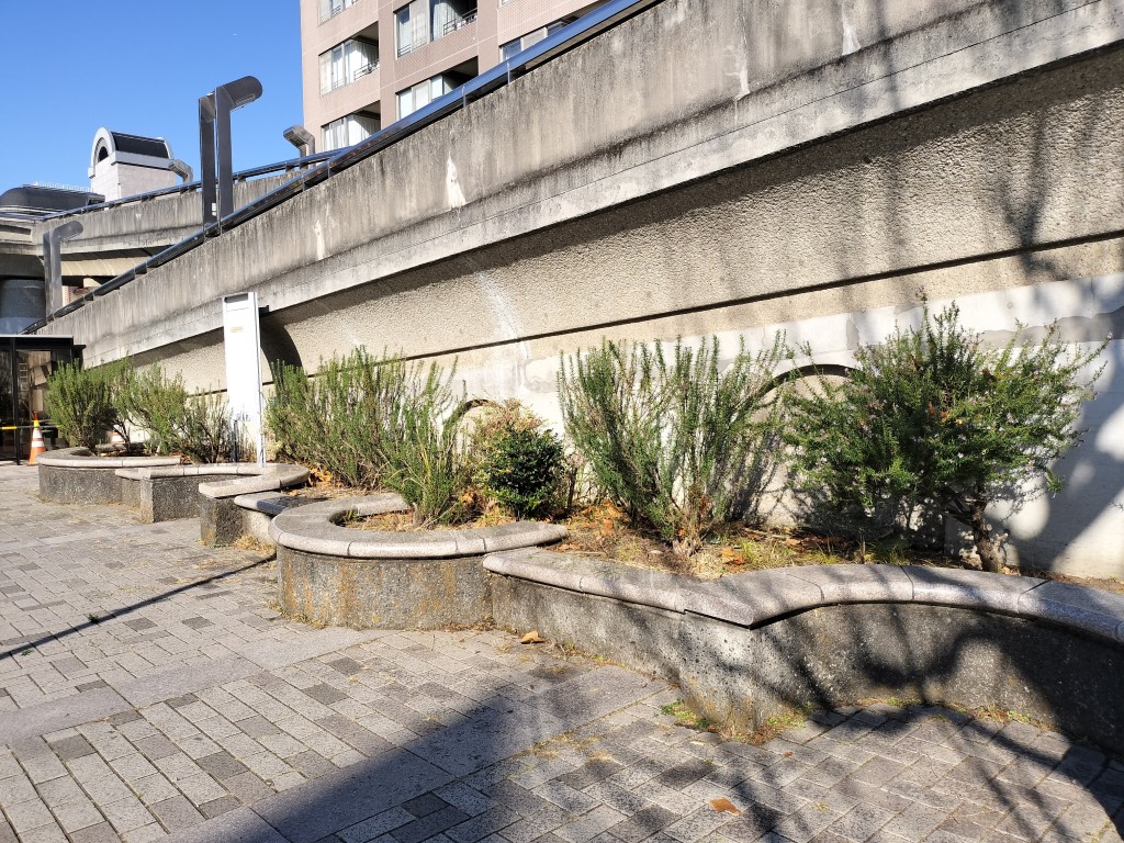 すっきりした広場